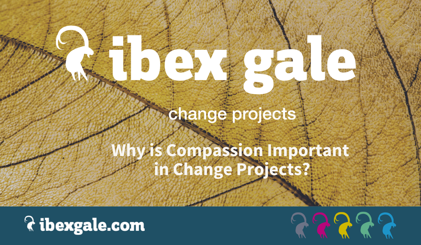 Why is compassion important in change projects? - ibex gale