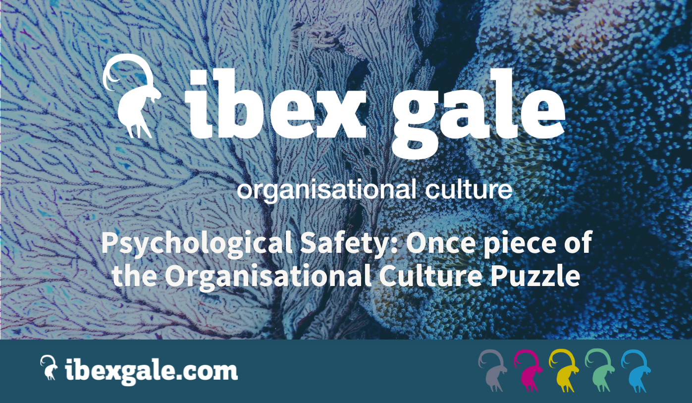 Psychological safety: one piece of the organisational culture puzzle - ibex gale