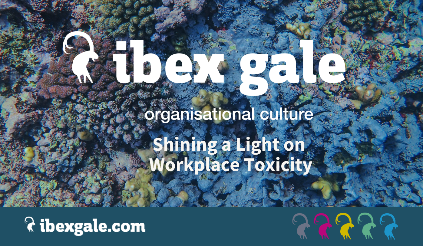 Shining a light on workplace toxicity - ibex gale