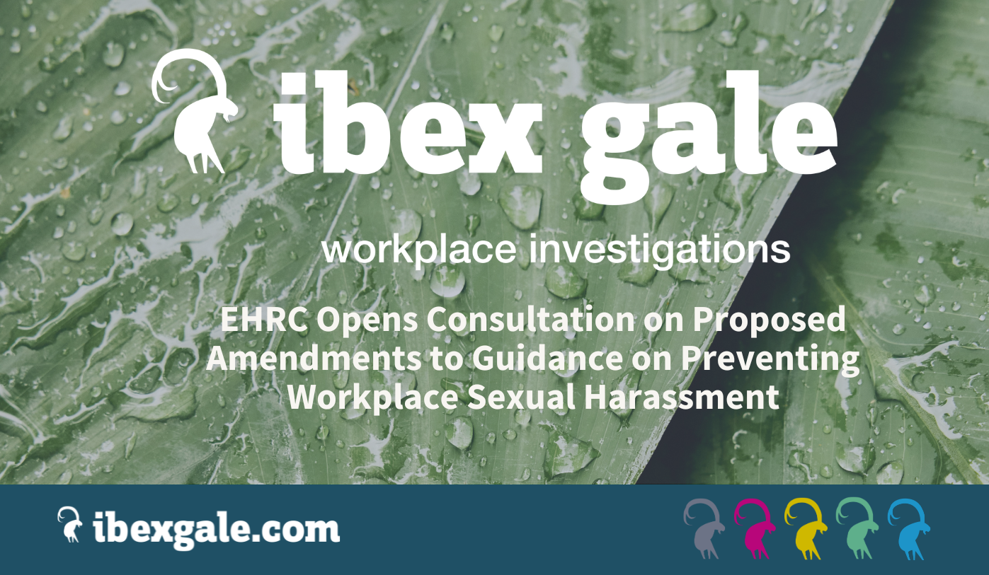 Ehrc opens consultation on proposed amendments to guidance on preventing workplace sexual harassment - ibex gale