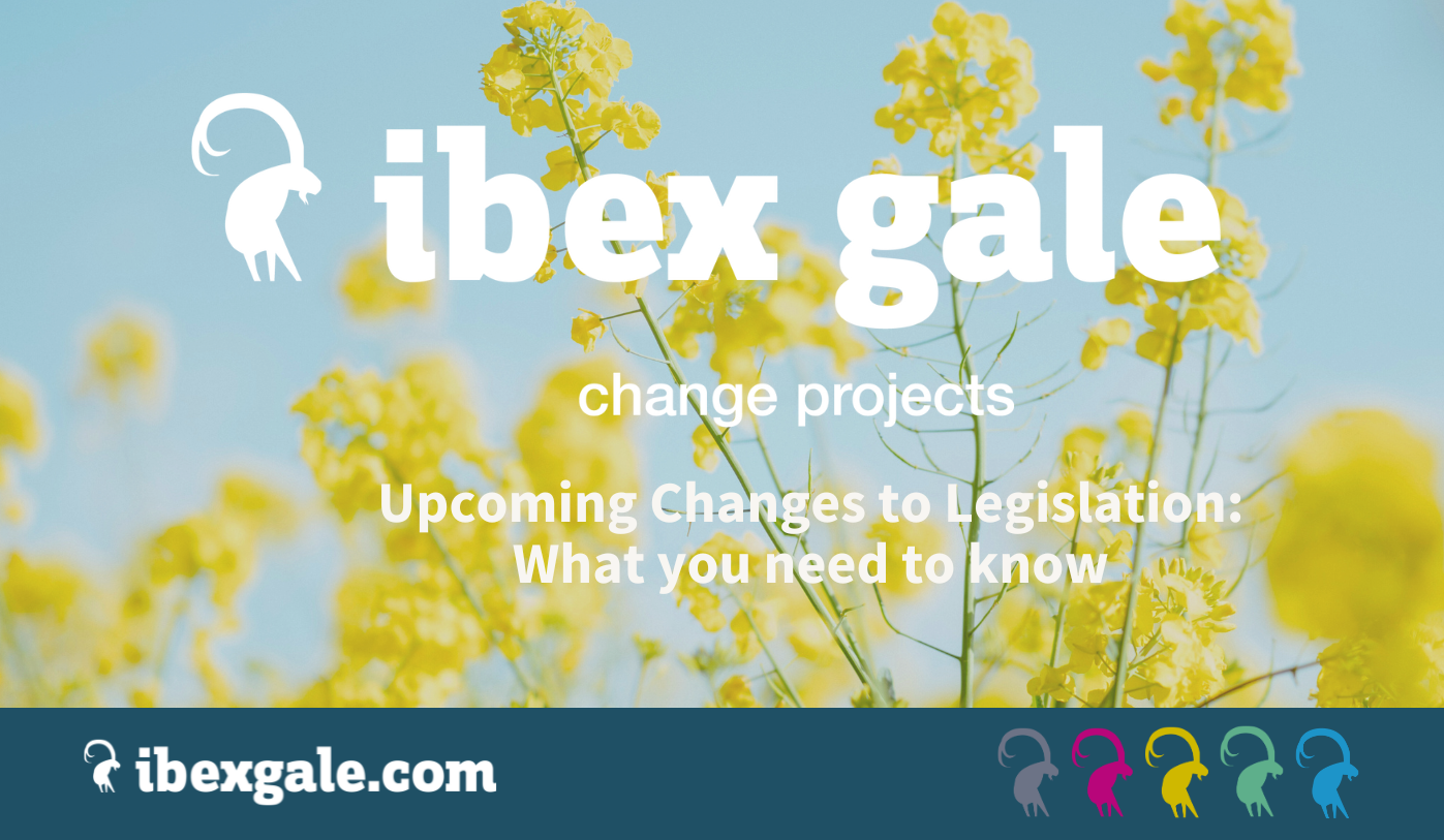 Upcoming changes to legislation: what you need to know - ibex gale